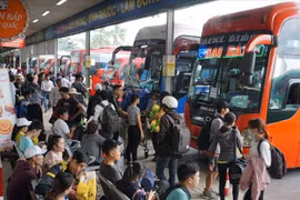 TP HCM: Tăng chuyến xe buýt hoạt động ban đêm đáp ứng nhu cầu giai đoạn nghỉ Tết