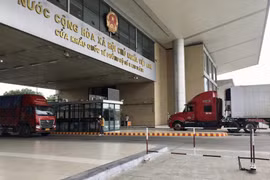 Xuất khẩu gần 40.000 tấn vải thiều sang Trung Quốc qua cửa khẩu Kim Thành (Lào Cai)
