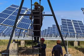 Deloitte: Châu Á được lợi nhiều từ quá trình khử carbon