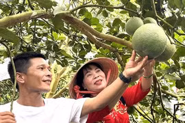Làm du lịch trên nền nông thôn mới ở Đồng Nai