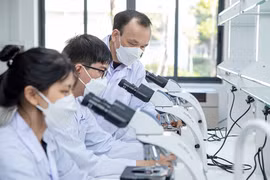 Quy định mới của Chính phủ về cấp Giấy chứng nhận chuyển giao công nghệ khuyến khích chuyển giao