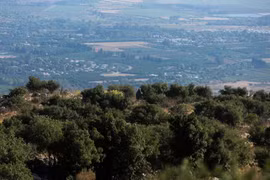 Quân đội Lebanon bắn hơi cay qua biên giới vào lực lượng Israel