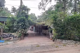 Mâu thuẫn sau cuộc nhậu, nam thanh niên dùng súng bắn vợ hàng xóm bị thương