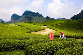 Sơn La phát triển sản phẩm du lịch thân thiện với môi trường