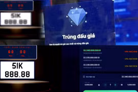 Tiêu điểm: Hoàn thiện cơ sở pháp lý để ngăn chặn bỏ cọc đấu giá biển số xe