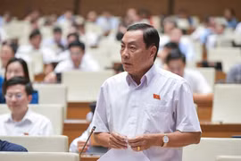 Đại biểu Quốc hội đề nghị giao thẩm quyền cho Giám đốc Công an tỉnh cấp giấy chứng nhận và thẻ căn cước