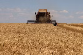 Ukraine mở tuyến đường Biển Đen mới để thúc đẩy xuất khẩu lương thực