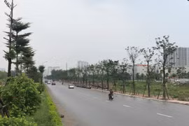 Hà Nội: Đường tránh Quốc lộ 21B qua huyện Ứng Hòa sẽ có 6 làn xe chạy