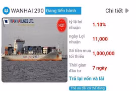 Cảnh giác trước hoạt động kêu gọi đầu tư đa cấp, giả danh thương hiệu Wanhai Lines