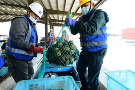 Trung Quốc cấm nhập khẩu thực phẩm từ Nhật Bản