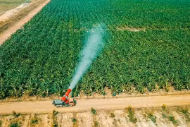 HAGL Agrico (HNG) đặt mục tiêu "chỉ" lỗ 2,3 nghìn tỷ trong năm 2023