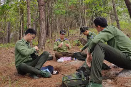 Gia Lai: Nhân viên bảo vệ rừng nghỉ việc hàng loạt, một người phải “gánh trên vai” hơn 3.000 ha rừng
