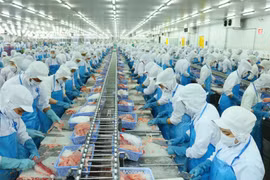 Vĩnh Hoàn (VHC) doanh thu tháng 11 giảm 3%, vẫn chi 20 tỷ mở rộng vùng nguyên liệu
