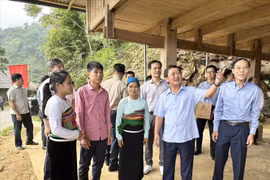 Chương trình 1719 góp phần thúc đẩy phát triển kinh tế -xã hội người dân Bá Thước