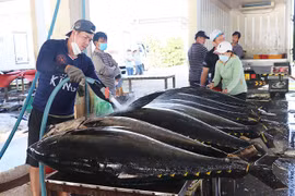 Giá trị xuất khẩu cá ngừ đạt kỷ lục