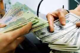 Thành lập “đường dây nóng” để tiếp nhận, xử lý thông tin khẩn cấp về tài trợ khủng bố