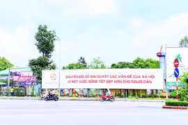Cà Mau tổ chức sự kiện ngày Chuyển đổi số quốc gia trên địa bàn tỉnh năm 2023