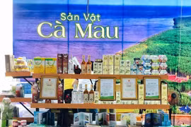 Festival Tôm Cà Mau 2023 có nhiều hoạt động hấp dẫn