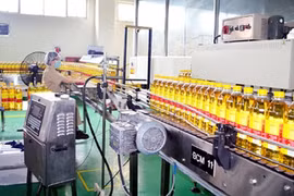 Tiền mặt giảm kỷ lục trong 4 năm, dòng tiền âm 591 tỷ, Vocarimex (VOC) lấy đâu 1.000 tỷ cổ tức trả cho KIDO?