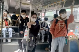 Gần 100% số lượt xe buýt Hà Nội được đánh giá chất lượng 5 sao: Liệu có đúng thực tế?