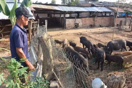 Kon Tum thực hiện hiệu quả Chương trình MTQG 1719