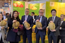 Trái cây Việt Nam được hưởng “quả ngọt” bằng những giấy thông hành xuất ngoại