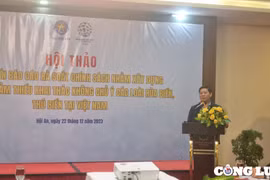 Xây dựng kế hoạch giảm thiểu khai thác không chủ ý các loài rùa biển, thú biển tại Việt Nam