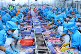 Đặt mục tiêu 9,5 tỷ USD xuất khẩu thủy sản năm 2024