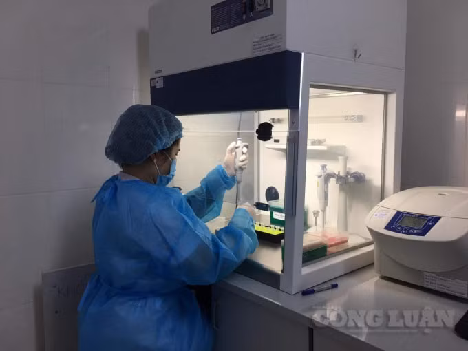 Trung tâm xét nghiệm bv đa khoa tỉnh pt đảm bảo tiêu chuẩn để tiến hành xét nghiệm virus Sarcovi.