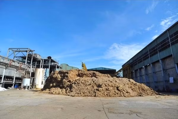 Bã mía để sản xuất điện tại công ty mía đường Lam Sơn. Ảnh: TL
