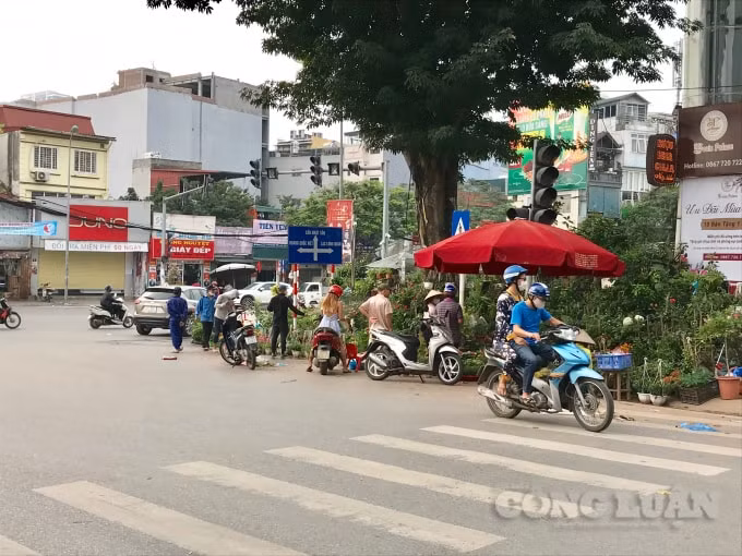 Các tiểu thương kinh doanh cây cảnh vẫn vô tư buôn bán huyên náo trên đường Hoàng Hoa Thám bất chấp những khuyến cáo về nguy cơ lây nhiễm dịch bệnh Covid-19