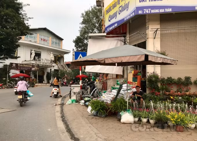 Từ lâu tuyến đường Hoàng Hoa Thám đã gần như mất hết vỉa hè dành cho người đi bộ