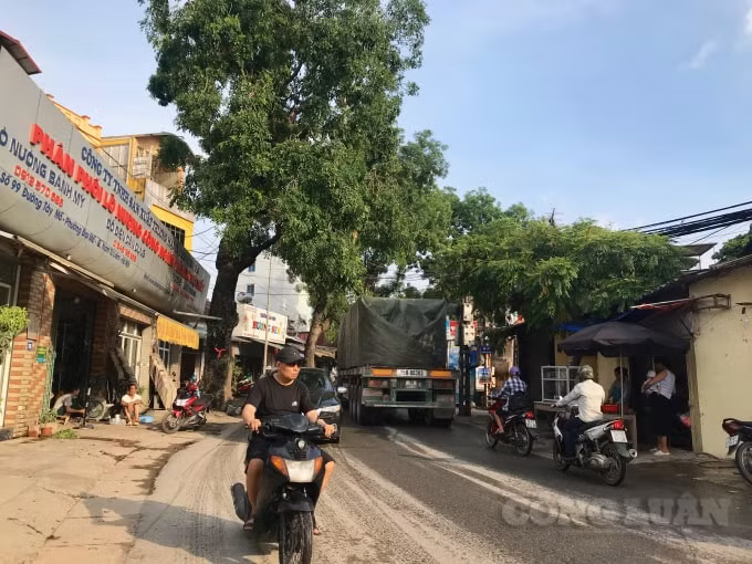 Chính quyền sở tại cần những biện pháp cứng rắn, quyết liệt để dẹp nạn 'chợ cóc', 'chợ tạm'