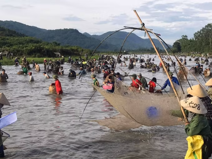 Sau 1 tiếng hô lớn làm khẩu lệnh, hàng nghìn người cùng với các dụng cụ nơm, lưới, vó, nhủi... ào xuống đầm bắt cá