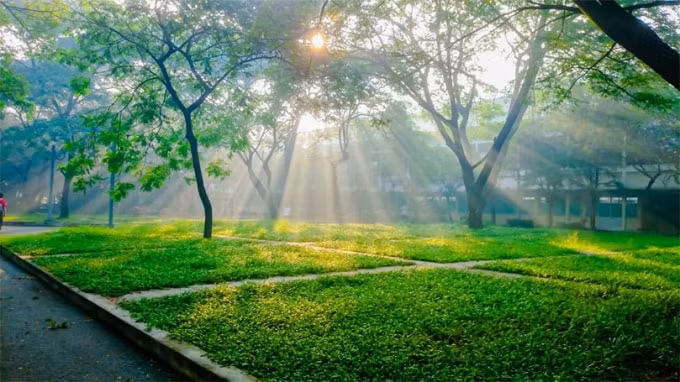nắng2