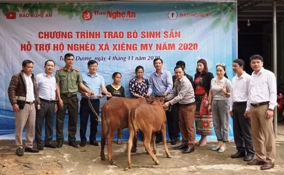 2 hộ nghèo ở bản Khe Quỳnh, xã Xiêng My, huyện Tương Dương được báo Nghệ An trao tặng bò giống.