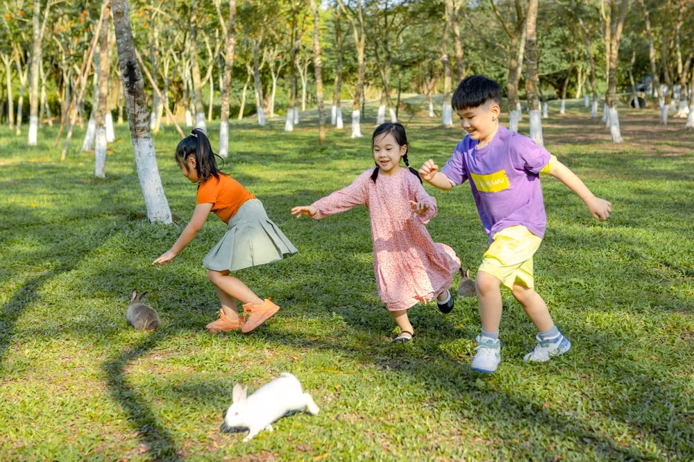 vung dat cua nhung dua tre hanh phuc hinh 1
