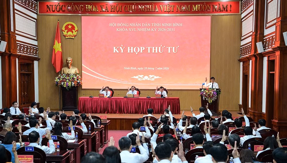 hop-3.jpg