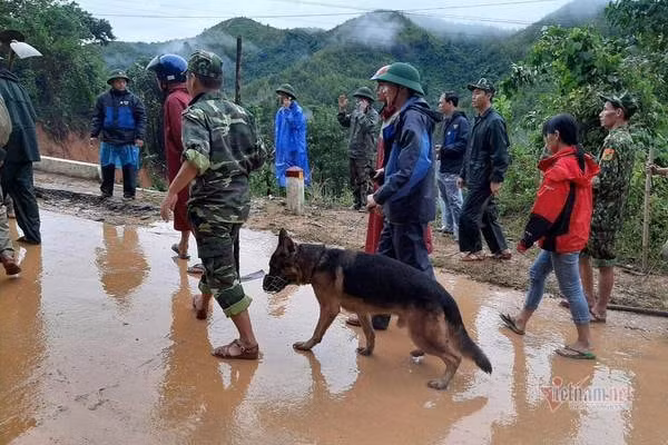 Lực lượng cứu hộ sử dụng cả chó nghiệp vụ để tìm kiếm. Ảnh: vietnamnet.