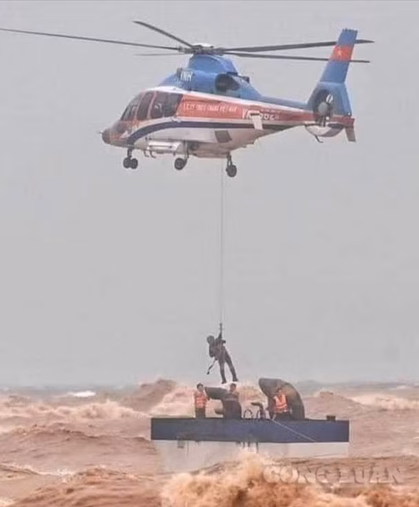 Trực thăng quân đội tham gia giải cứu thuyền viên bị nạn trên tàu Vietship 01
