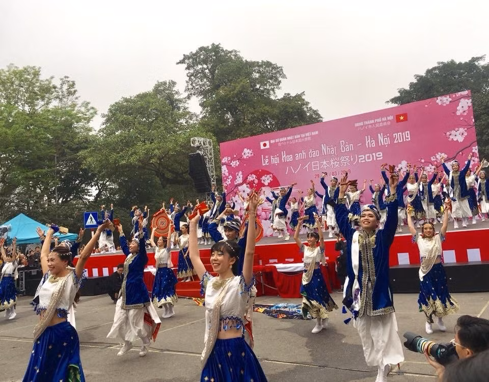 Du khách Thủ đô sẽ được ngắm hoa anh đào đến hết ngày 2/4 tại Lễ hội hoa anh đào Nhật Bản - Hà Nội 2019.
