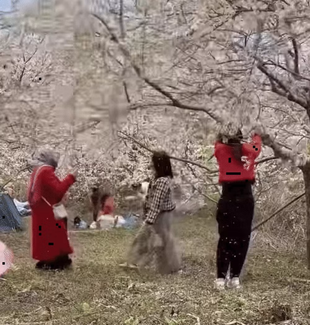 xon xao hinh anh du khach song ao danh du lac canh hoa man o lao cai hinh 1