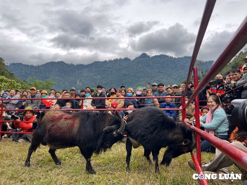 tuyen quang man nhan hoi thi choi de tai lam binh hinh 6