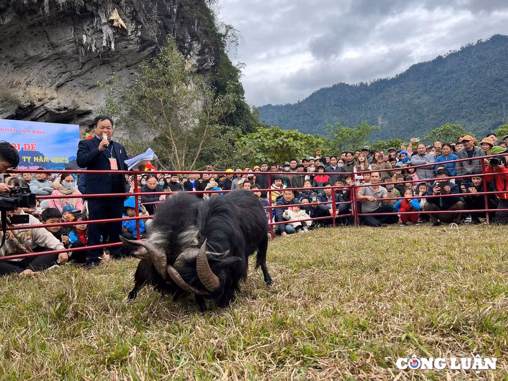 tuyen quang man nhan hoi thi choi de tai lam binh hinh 12
