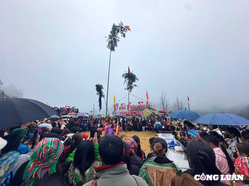 doc dao le hoi gau tao cua dong bao nguoi mong o thi xa sa pa hinh 2