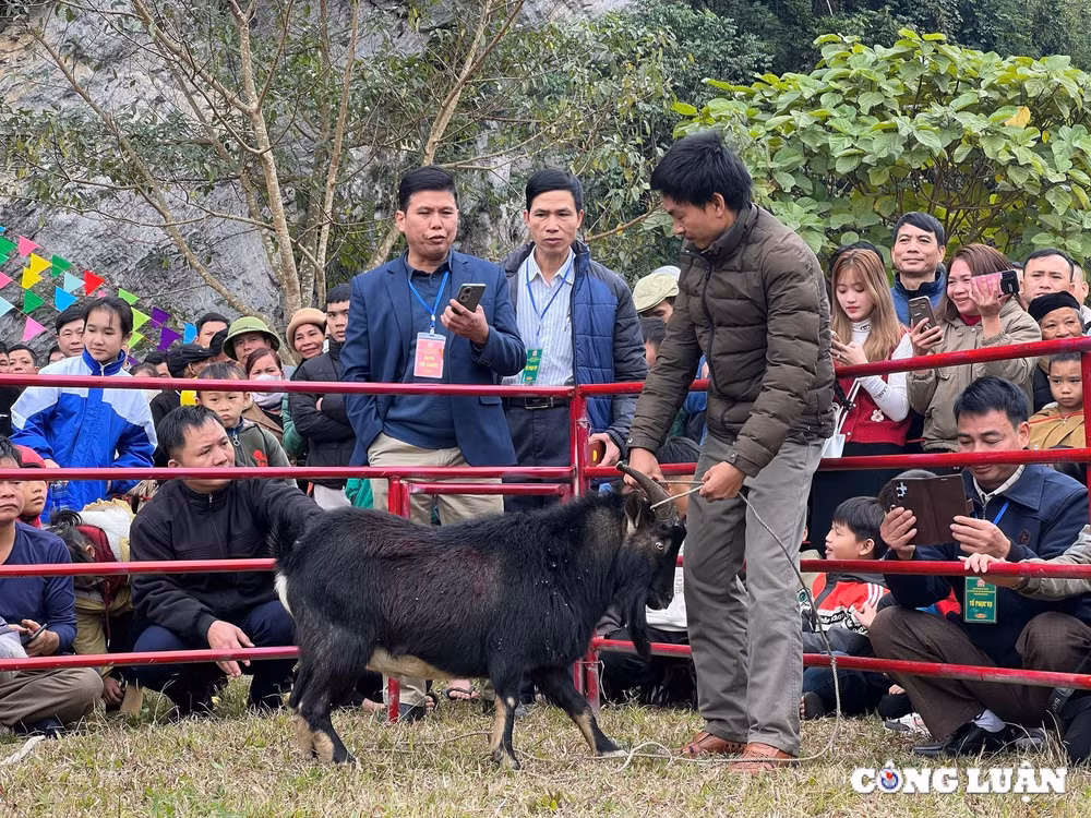 tuyen quang man nhan hoi thi choi de tai lam binh hinh 8