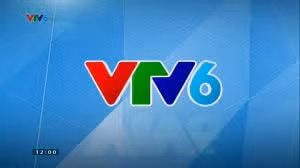 vtv6 chinh thuc dung phat song sau 15 nam hinh 1