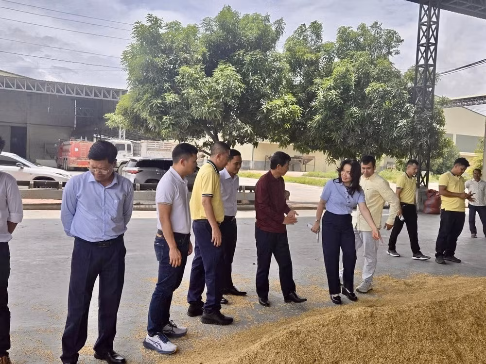 Phó TGĐ Nguyễn Thị Hiền cùng đoàn công tác trao đổi trực tiếp với đối tác về chất lượng nguyên liệu và tập quán canh tác của nông dân Campuchia.