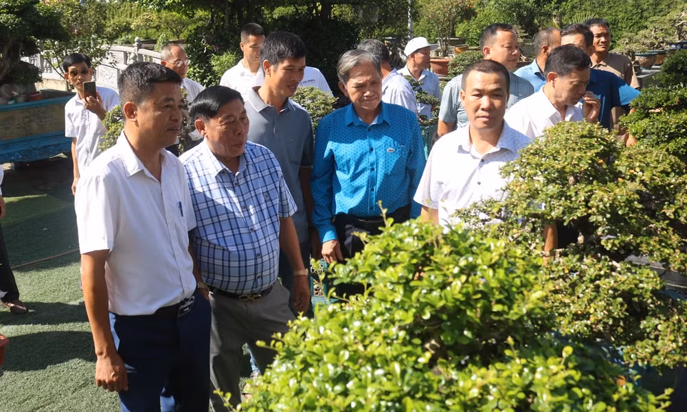 bắc ninh 1