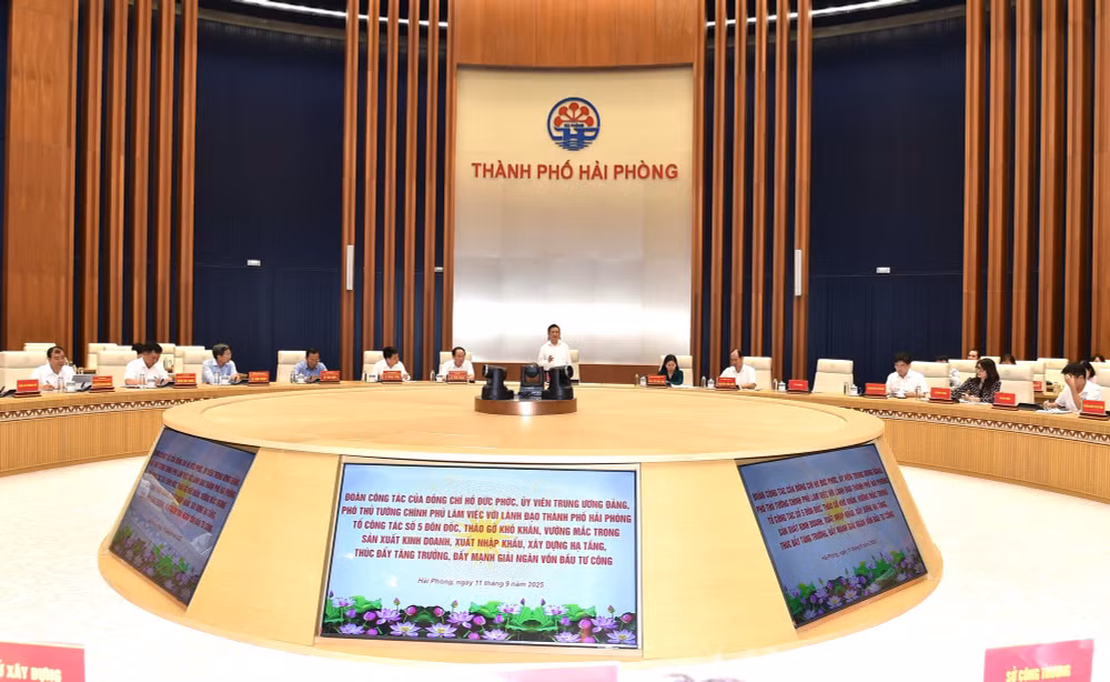 Phó Thủ tướng Hồ Đức Phớc làm việc với thành phố Hải Phòng- Ảnh 2.